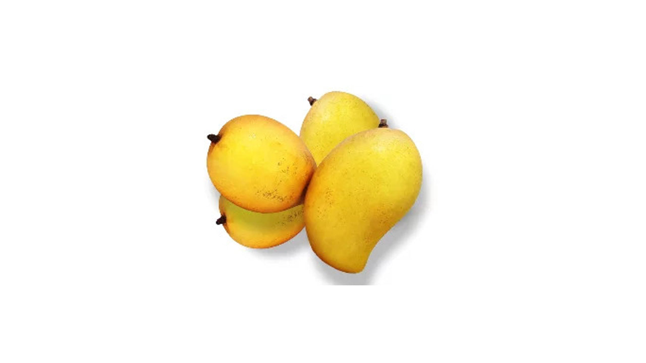 Gira Mango (ගිරා අඹ) Obstpflanze