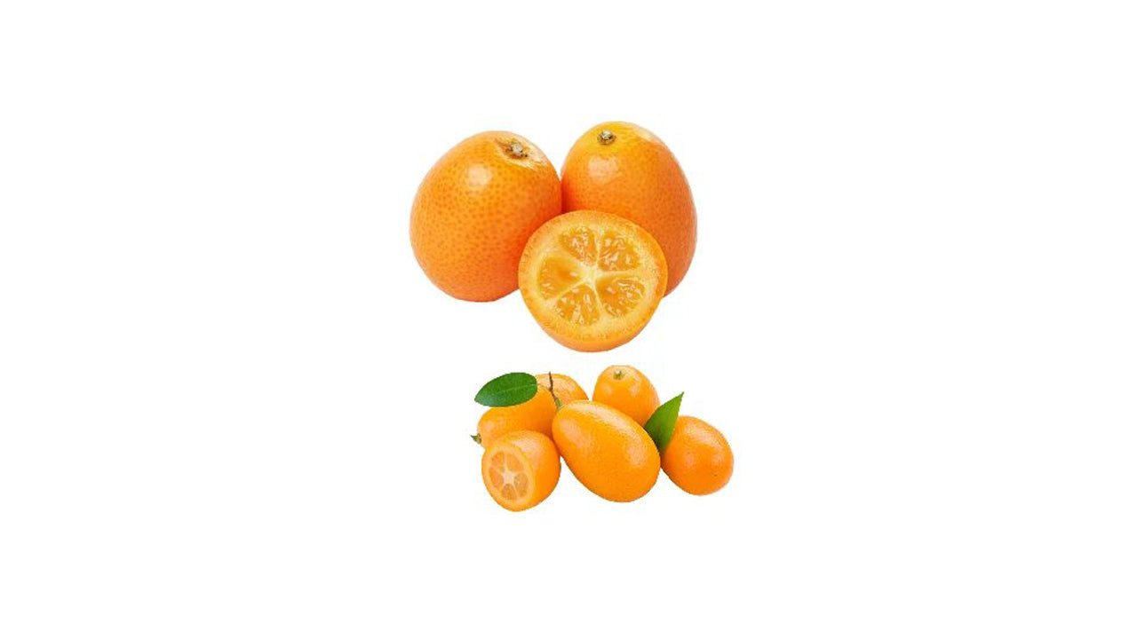 Kumquat (පොත්ත පිටින් කන නාරං බද්ධ) Obstpflanze