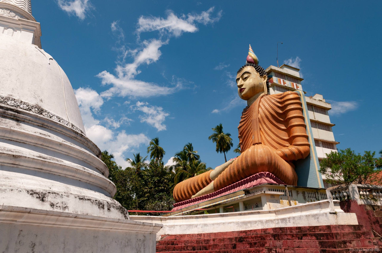 Tempel und Wildnis ab Colombo (2 Tage)