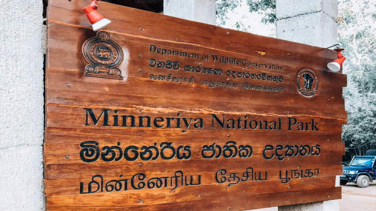 Sigirya und Minneriya ab Negombo (2 Tage)