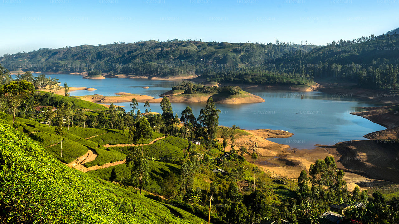 Nuwara Eliya ab Negombo (2 Tage)