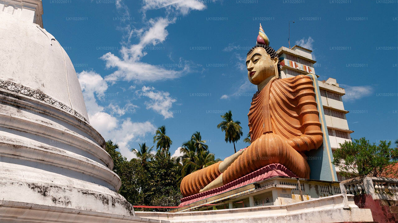 Tempel und Wildnis ab Negombo (2 Tage)