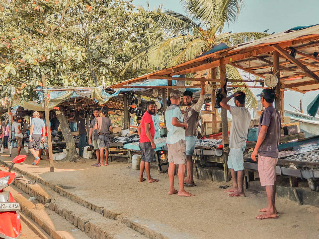 Meer, Sand und Meeresleben ab Negombo (2 Tage)