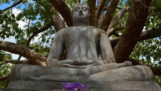Heilige Stadt Anuradhapura ab Colombo (3 Tage)