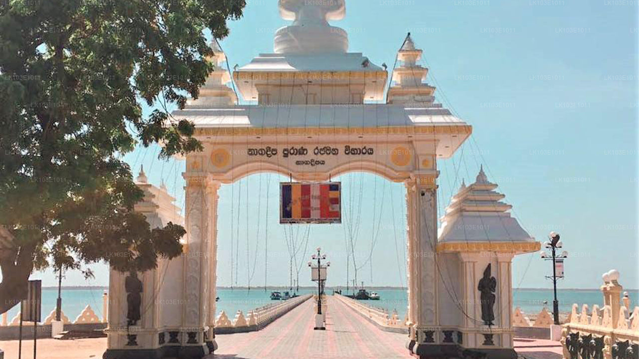 Erkunden Sie Jaffna-Tour (3 Tage)