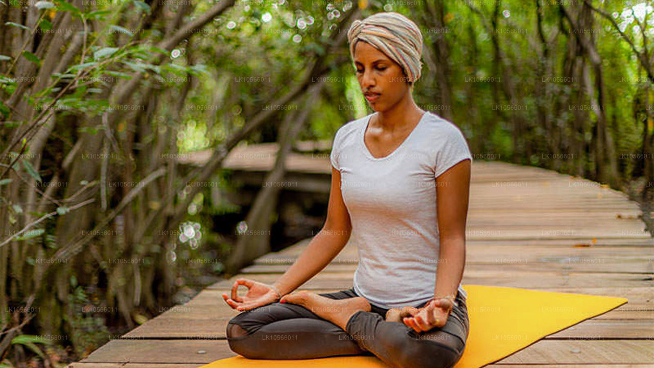 Meditations- und Yogatour (5 Tage)