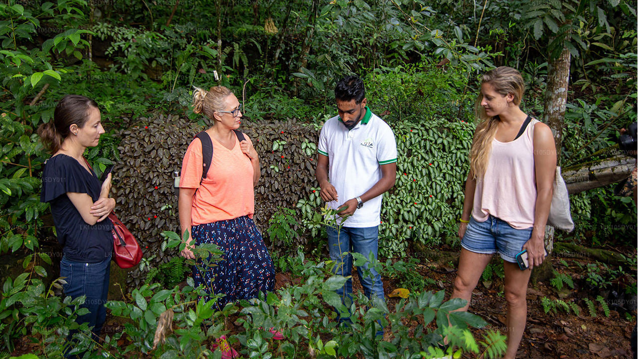 Agro-Tour durch Sri Lanka (5 Tage)