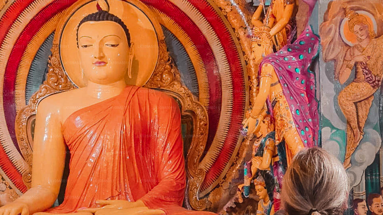 Buddhistische Pilgerreise (9 Tage)
