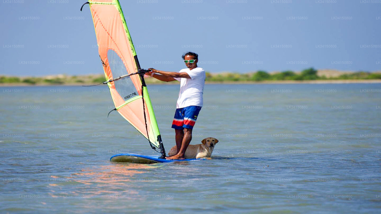 Privater 1-stündiger Windsurf-Anfängerkurs in Kalpitiya