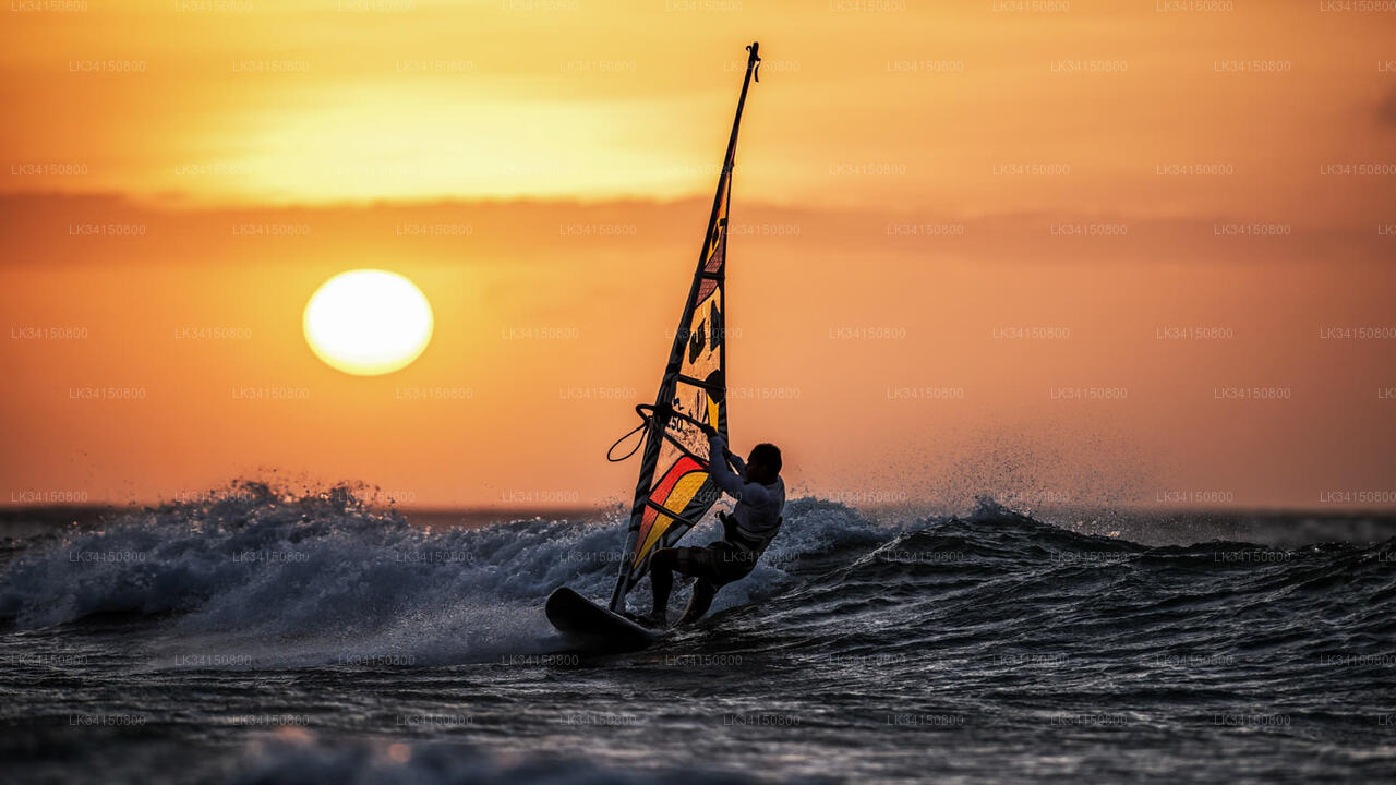 Privater 1-stündiger Windsurf-Anfängerkurs in Kalpitiya