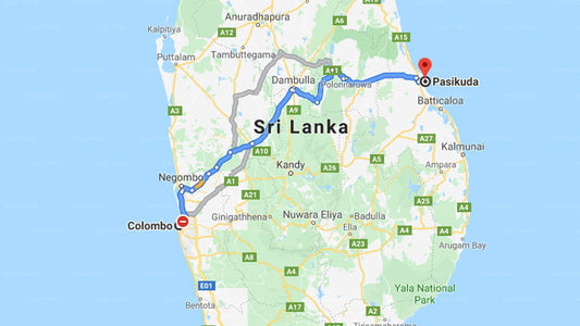 Privater Transfer von Colombo City nach Pasikuda City