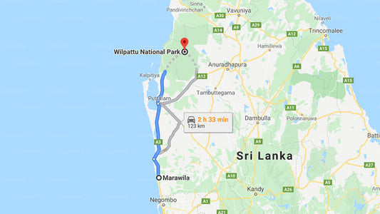 Privater Transfer von Marawila City nach Wilpattu City