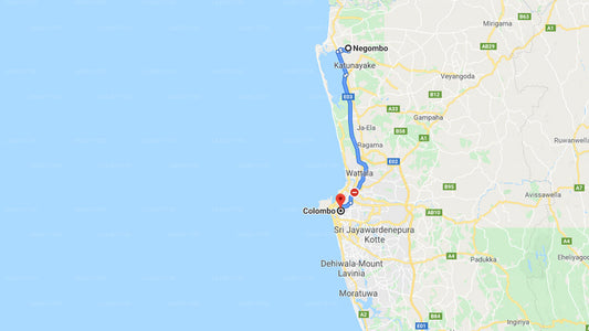 Privater Transfer von Negombo City nach Colombo City