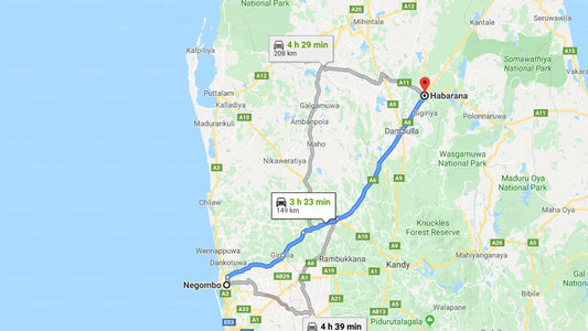 Privater Transfer von Negombo City nach Habarana City