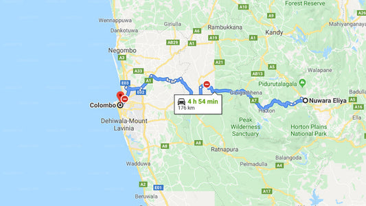 Privater Transfer von Nuwara Eliya City nach Colombo City