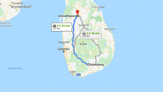 Privater Transfer von Udawalawe City nach Anuradhapura City
