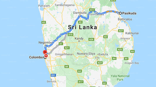 Privater Transfer von Pasikuda City nach Colombo City