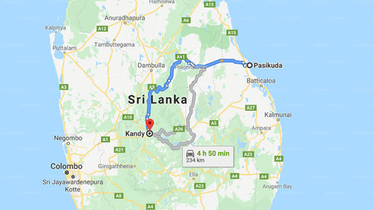 Privater Transfer von Pasikuda City nach Kandy City