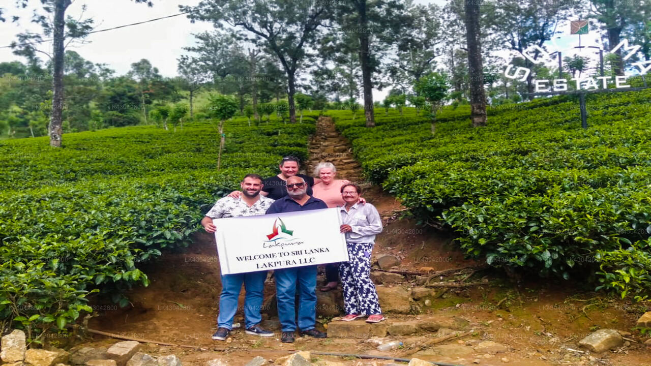 Transfer zwischen dem Flughafen Colombo (CMB) und Jetwing Warwick Gardens, Nuwara Eliya