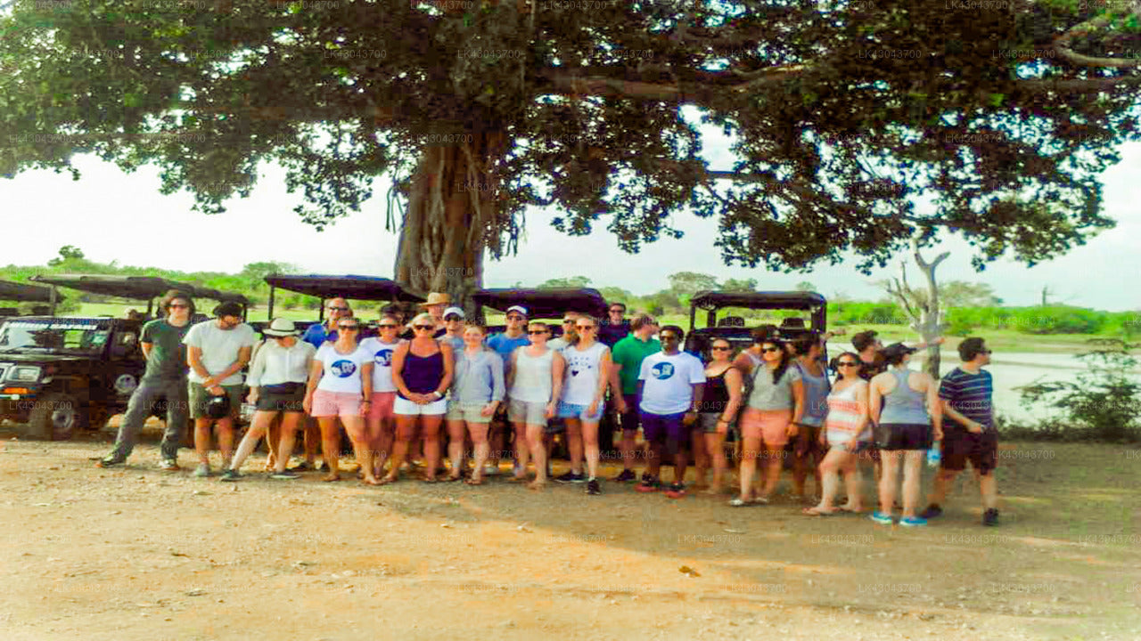 Transfer zwischen dem Flughafen Colombo (CMB) und The Beach Hut, Galle