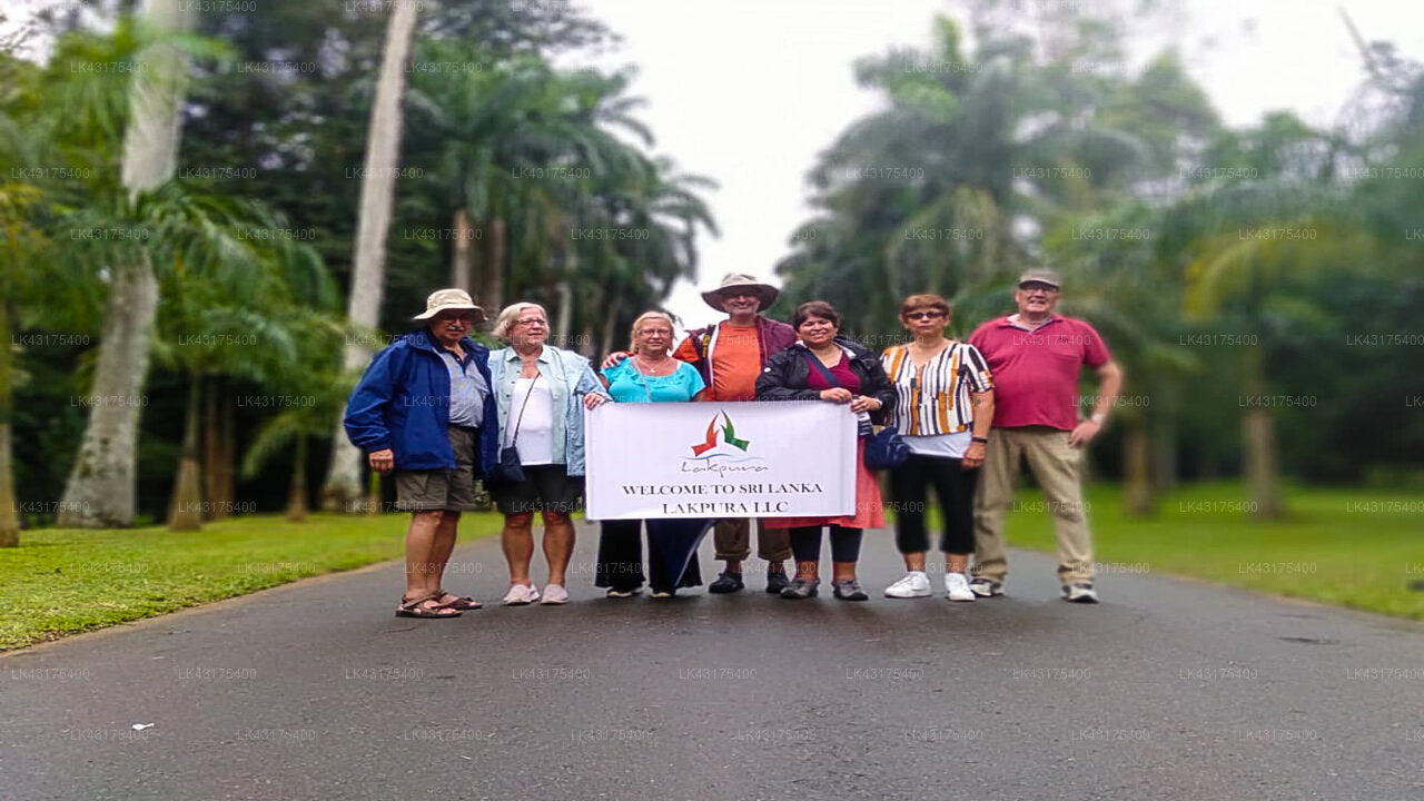 Transfer zwischen dem Flughafen Colombo (CMB) und Oakray Tea Bush, Ramboda