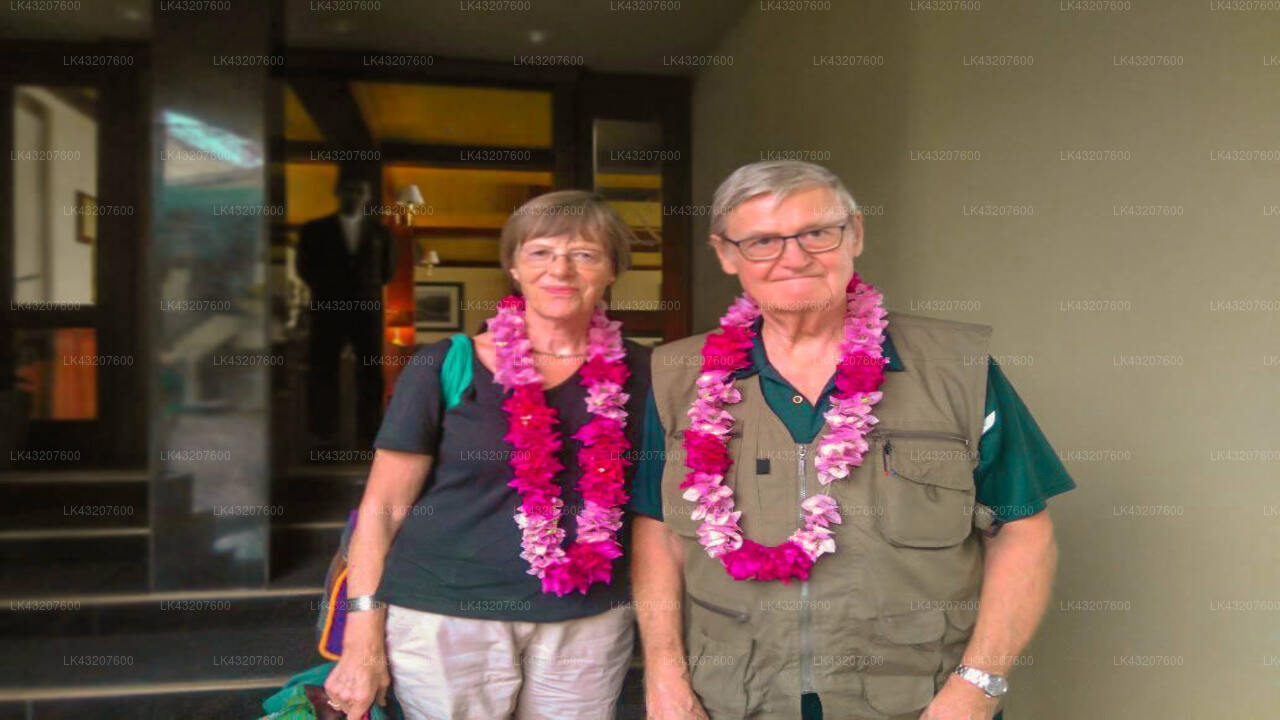 Transfer zwischen dem Flughafen Colombo (CMB) und Misty Hills Ella, Ella