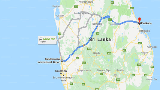 Transfer zwischen dem Flughafen Colombo (CMB) und dem Giman Free Beach Resort, Pasikuda