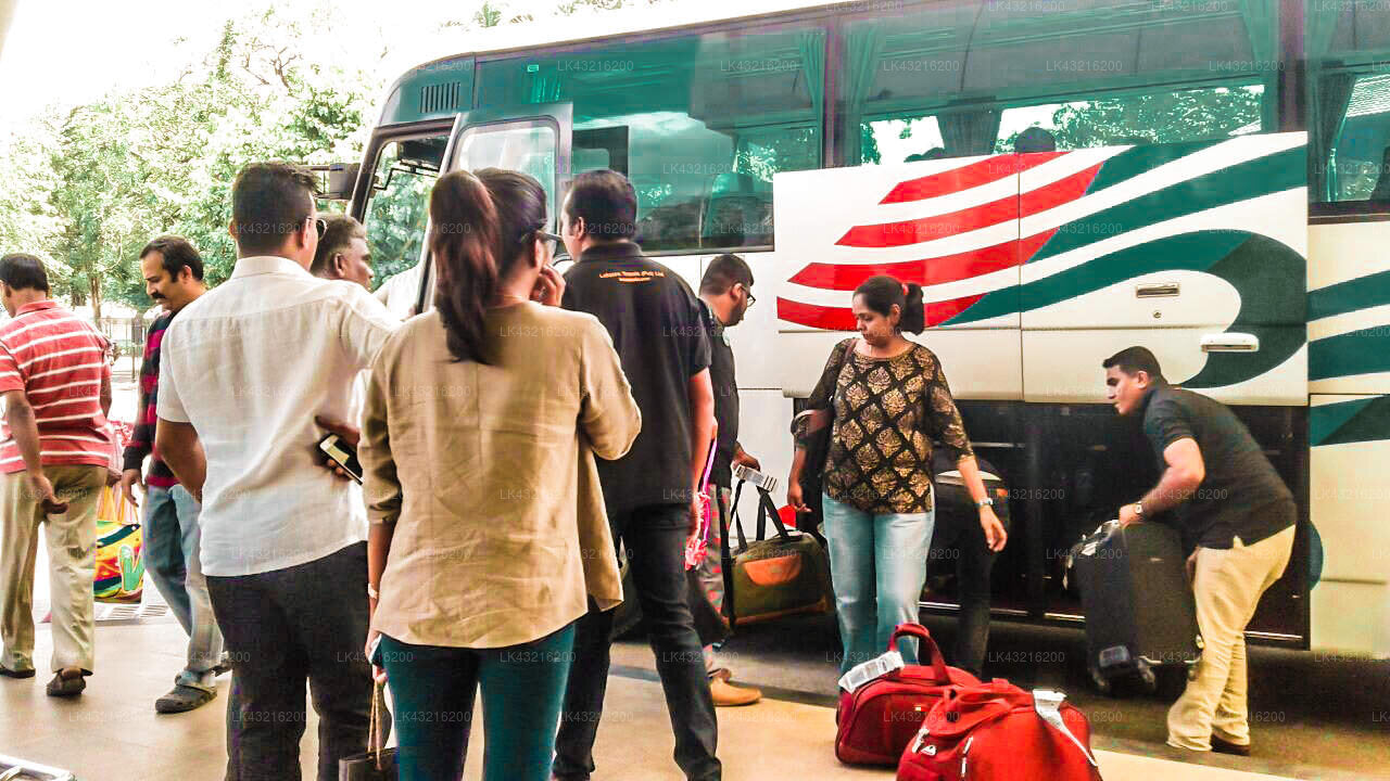 Transfer zwischen dem Flughafen Colombo (CMB) und dem heiligen Cadjan in Anuradhapura