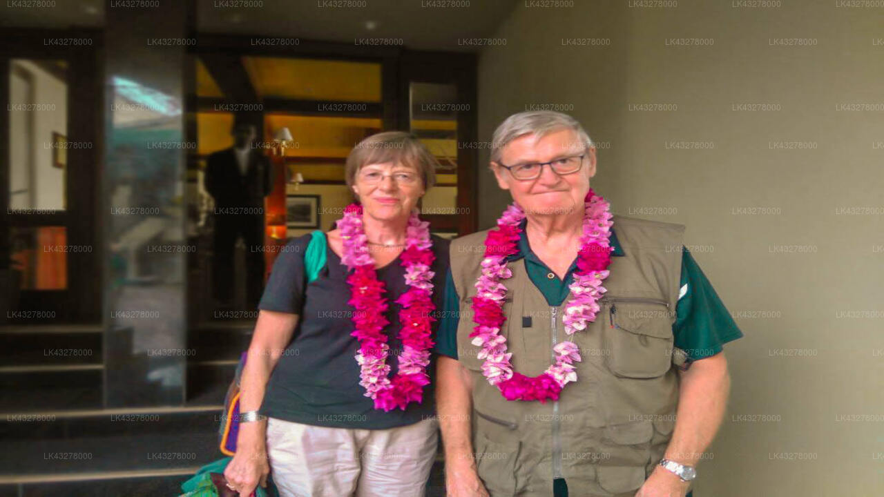 Transfer zwischen dem Flughafen Colombo (CMB) und der Sigiri Choona Lodge, Sigiriya