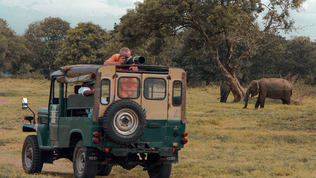 Safari im Udawalawe-Nationalpark