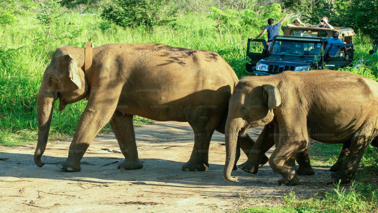 Hurulu Eco Park Safari von Dambulla