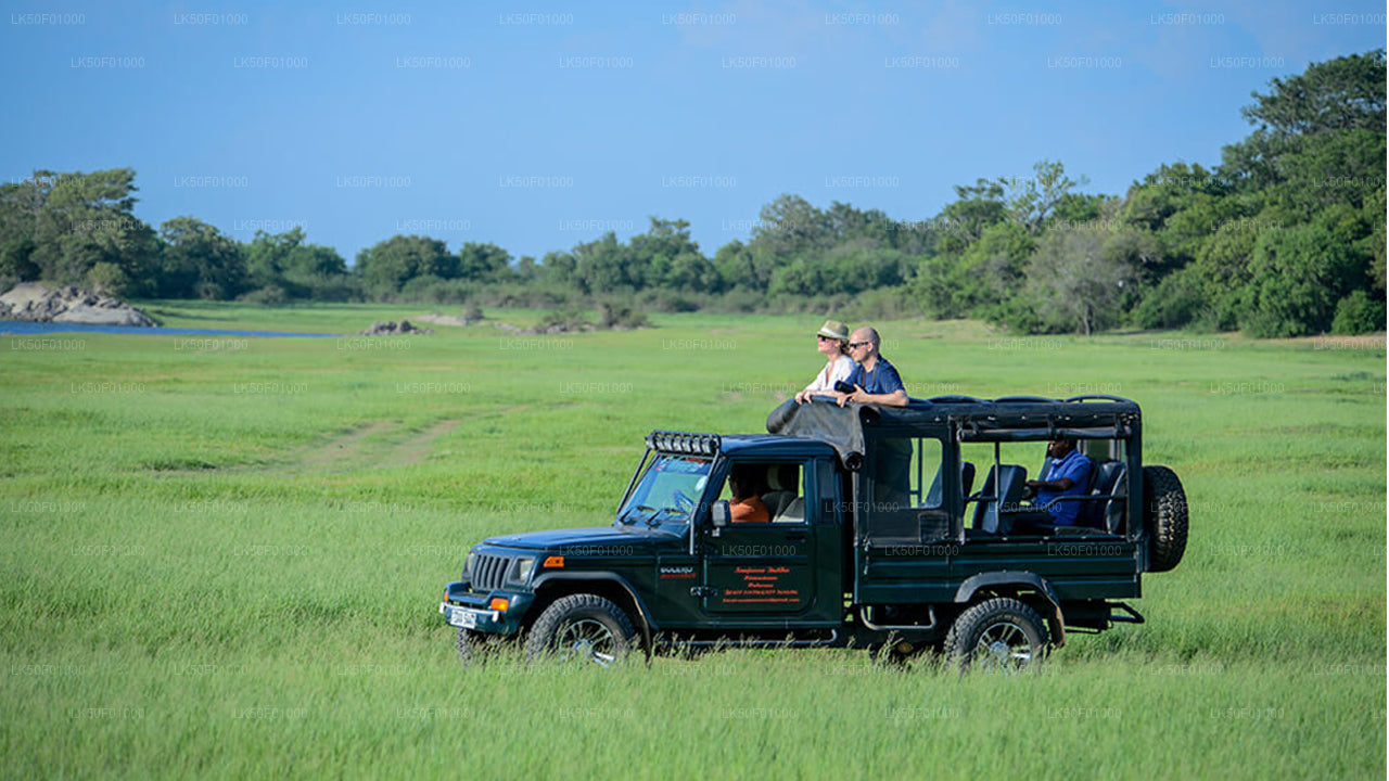 Private Safari im Wilpattu-Nationalpark