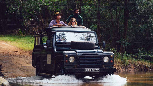 Private Safari im Udawalawe-Nationalpark mit Naturforscher