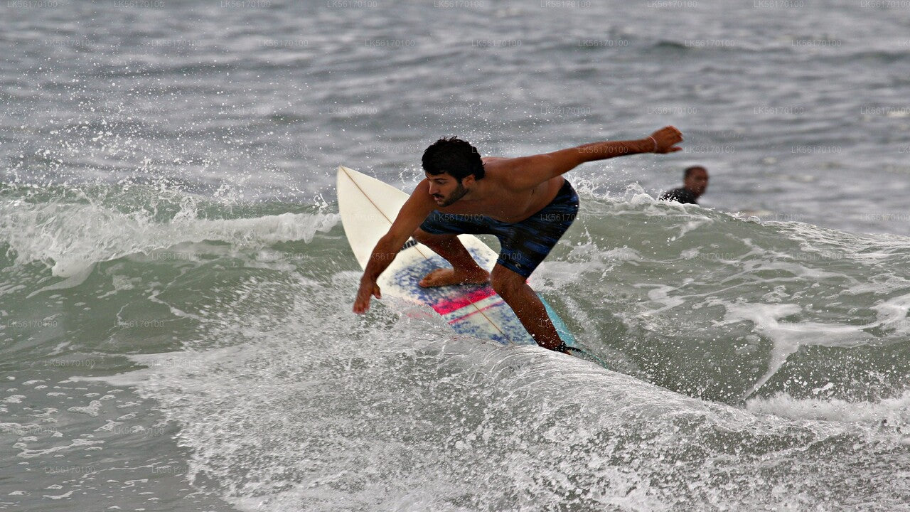 Surfen von der Arugam Bay aus