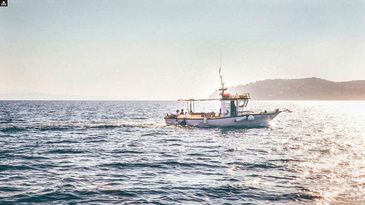 Ab Hikkaduwa: Bootstour zum Hochseefischen