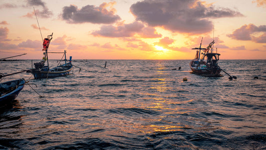 Ab Trincomalee: Bootstour zum Hochseefischen