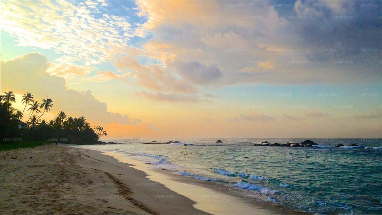 Handungoda, Galle und Kosgoda aus Colombo