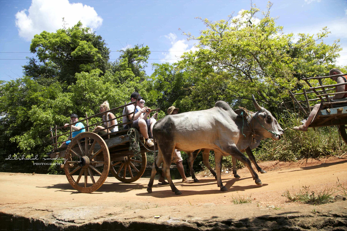 Ab Colombo: Tour zum Sigiriya-Felsen und zum Dorf