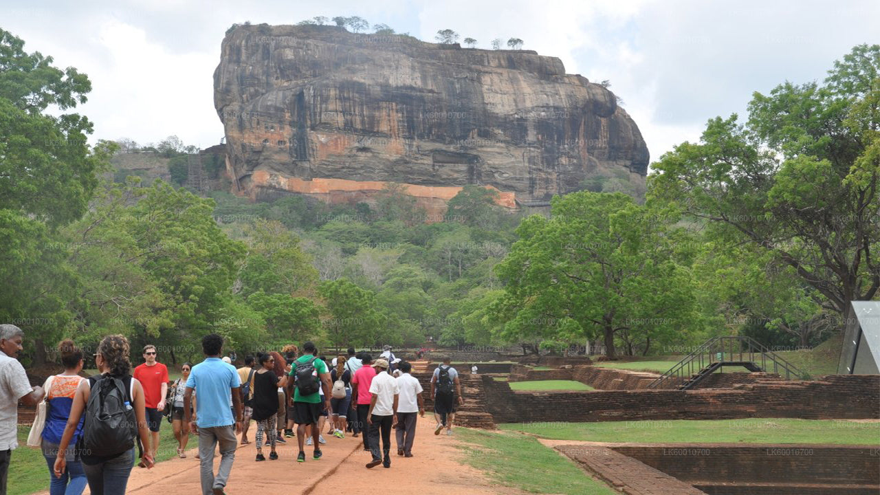 Ab Colombo: Tour zum Sigiriya-Felsen und zum Dorf