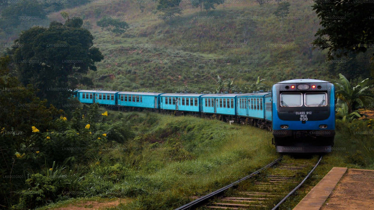 Nuwara Eliya von Kandy mit dem Zug