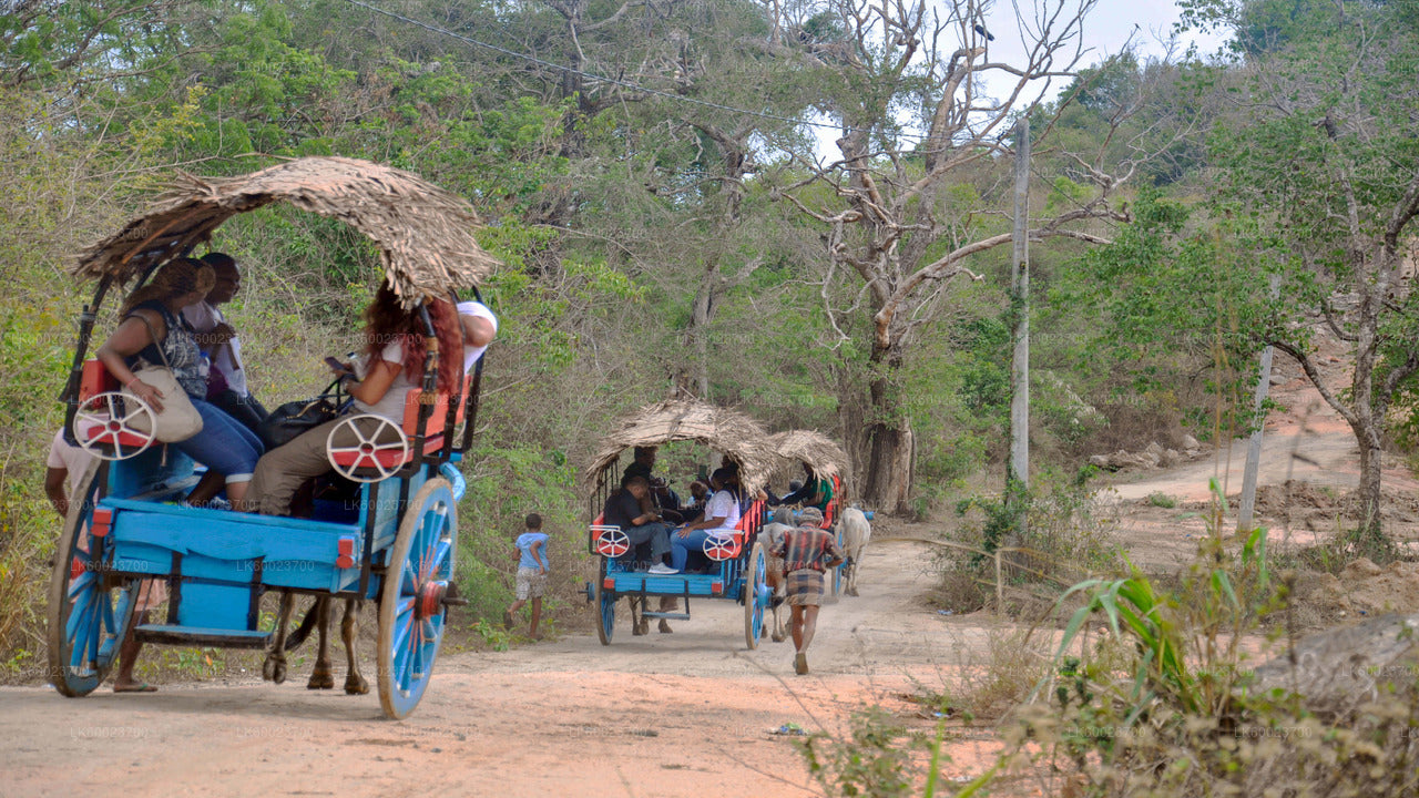 Ausflug zum Dorfleben ab Kandy