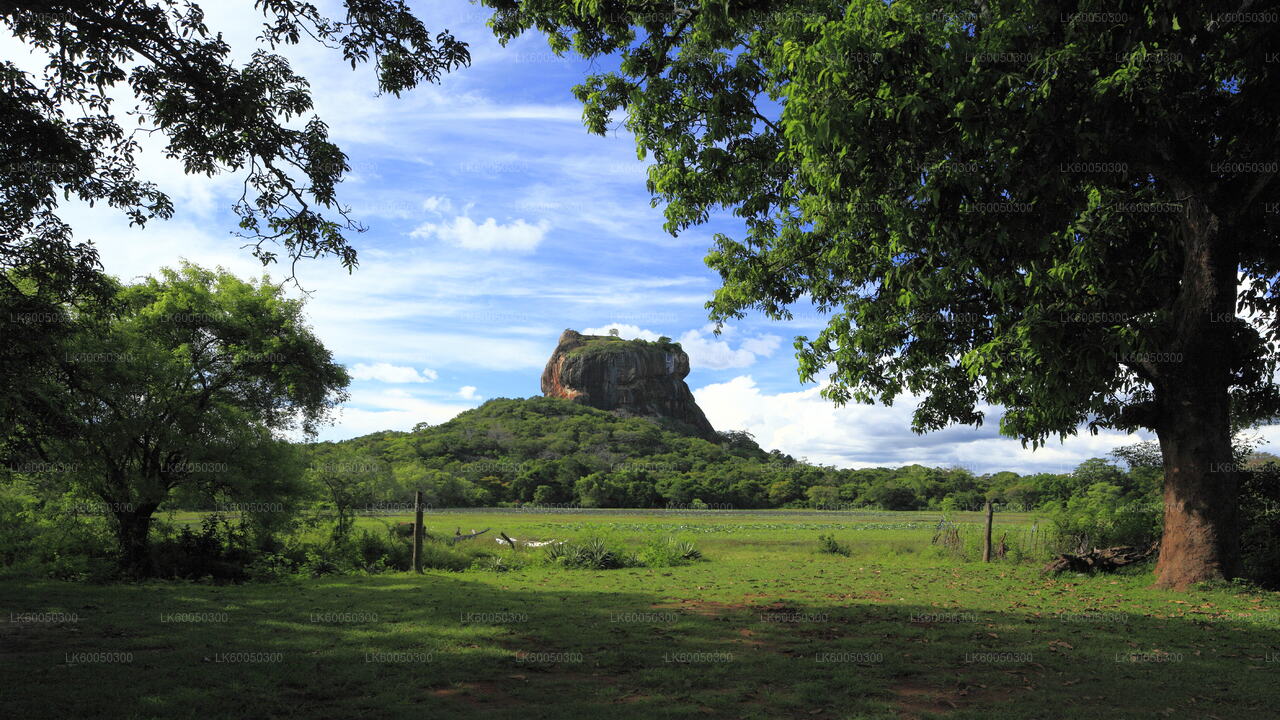 Sigiriya-Dorftour ab Negombo