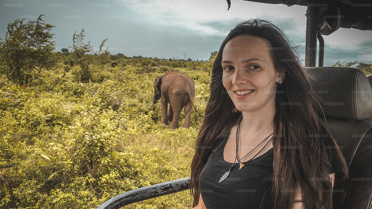 Safari im Udawalawe-Nationalpark ab Mirissa