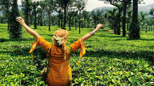 Teeplantage-Erlebnis von Ella
