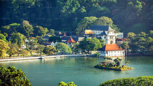 Kandy-Stadtrundfahrt ab Colombo