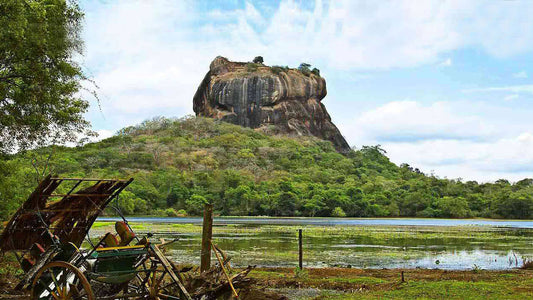 Sigiriya und Dambulla aus Colombo