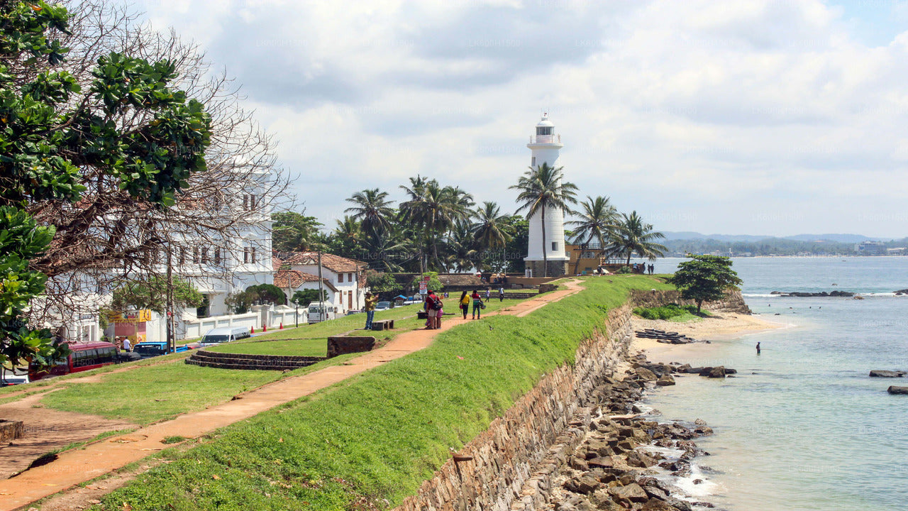 Virgin White Tea Factory und Galle Fort von Colombo aus