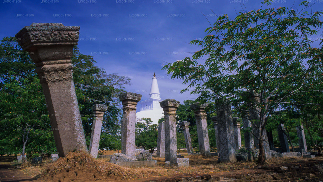 Heilige Stadt Anuradhapura von Colombo aus