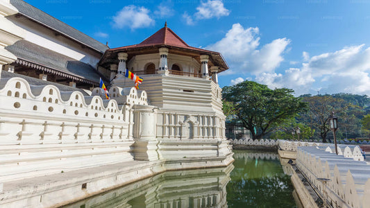 Stadtrundfahrt durch Kandy und Besuch der Millennium Elephant Foundation ab Colombo