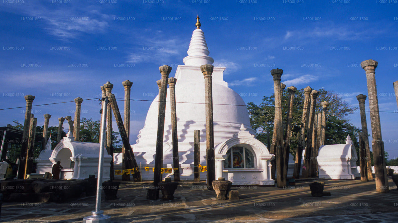 Tour zu buddhistischen Ikonen nach Anuradhapura ab Dambulla